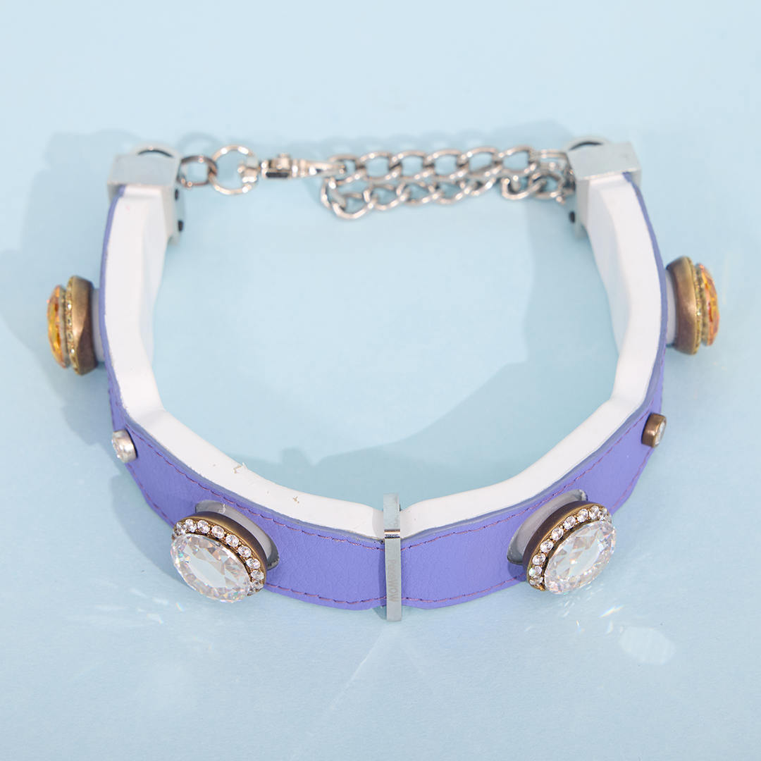 What If You Could Understand Your Pet?