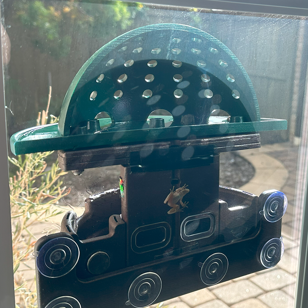 Backyard Frog Habitat for Nature Fans