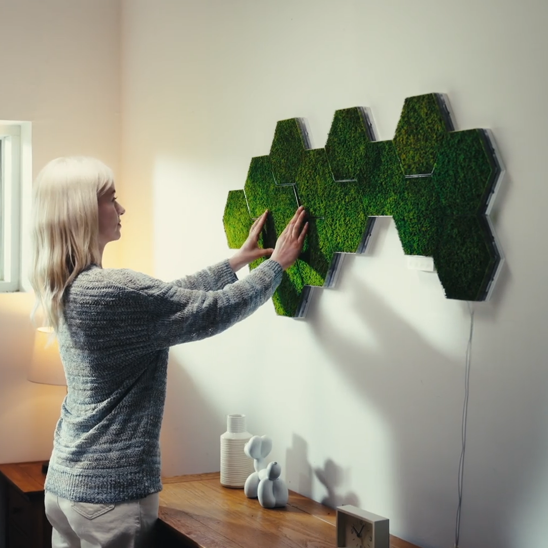 Modular Real Moss Wall Decor