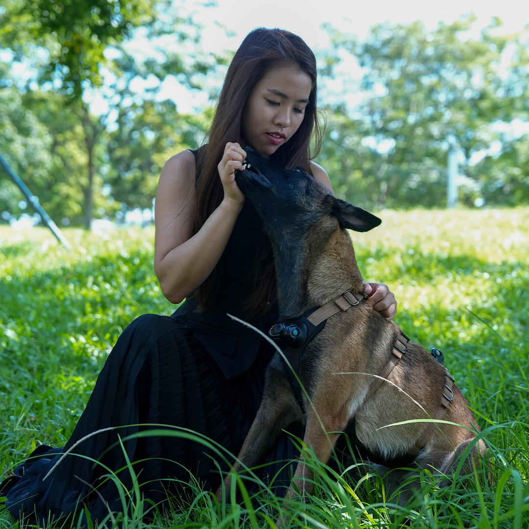 Your Dog Is The Director Now