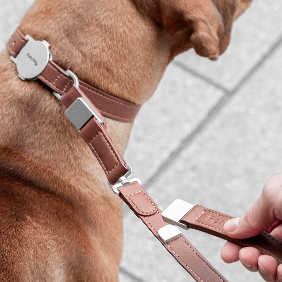 Engineered To Leash Up In One Click