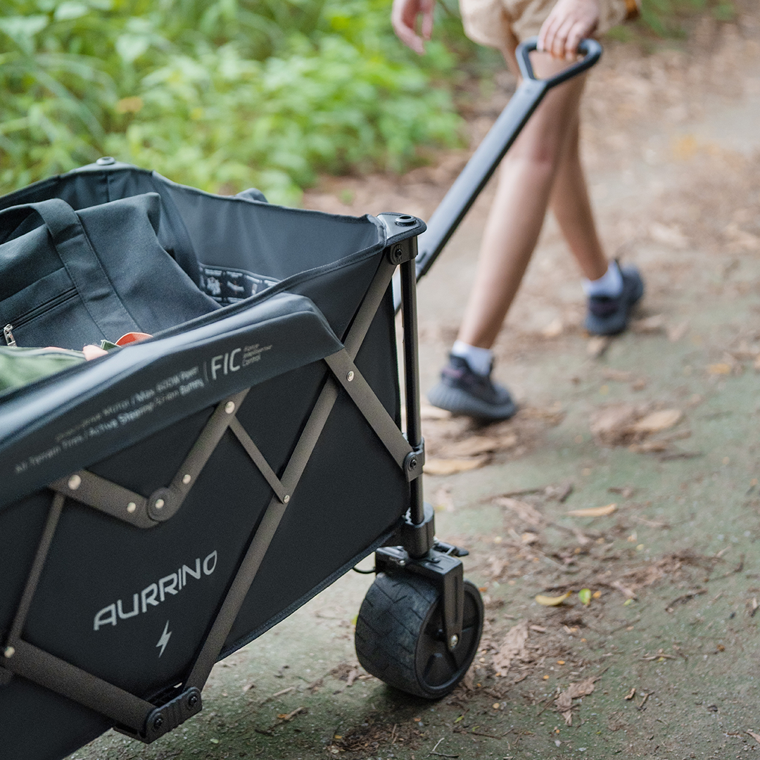 Revolutionize Your Hauling With An Intelligent Electric Wagon