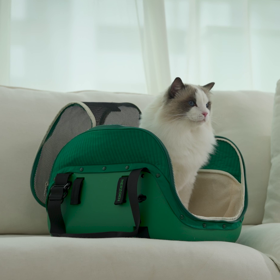 Hard-Shell Pet Carrier, No Droopy Floors