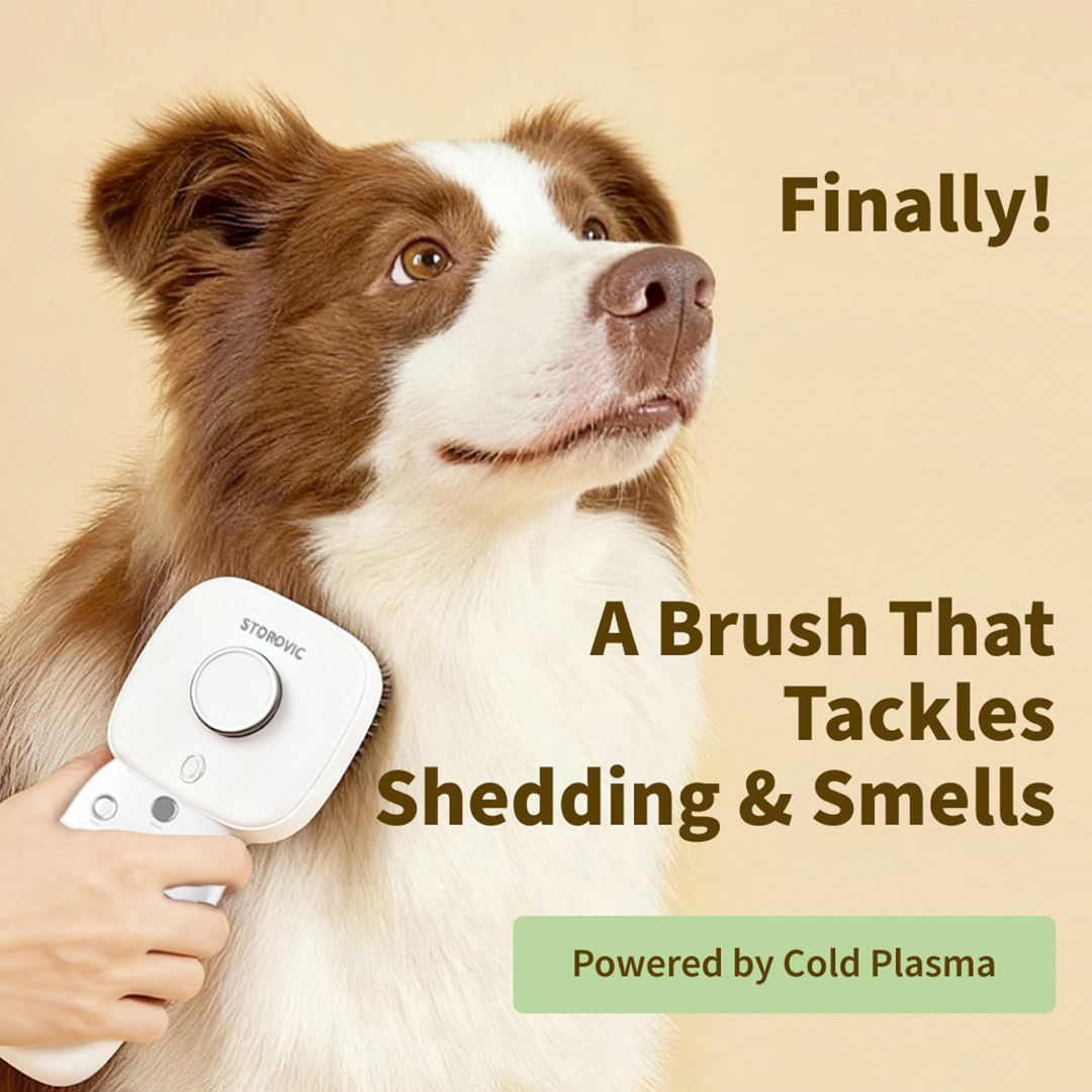 The Pet Brush That Kills 99.9% Bacteria