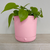 Innovative Plant Pot With Removable Drawer