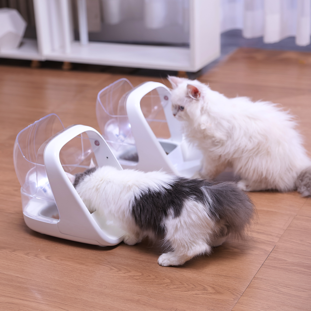 Stops Food Stealing at Mealtime