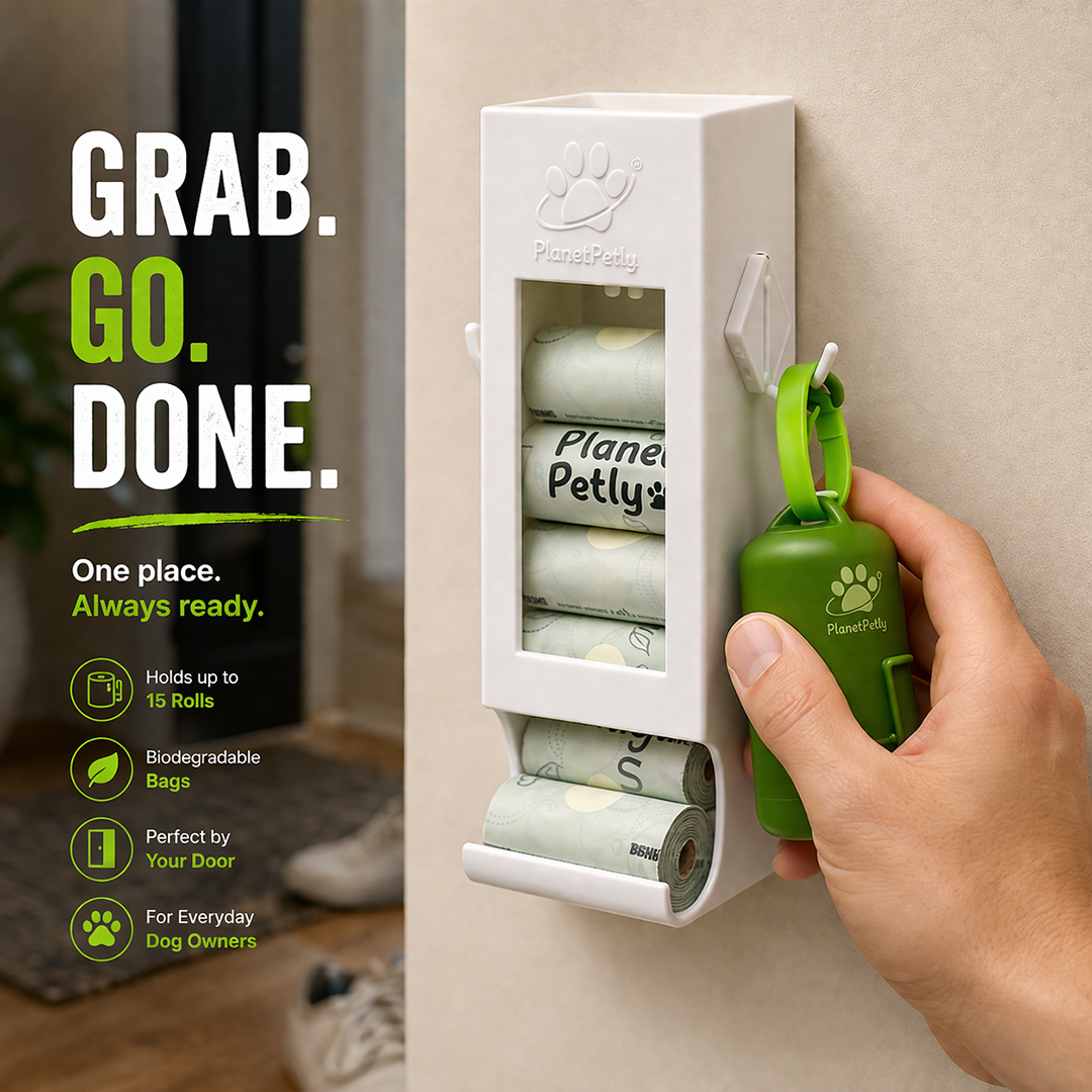 The Doorway Upgrade Dog Owners Need