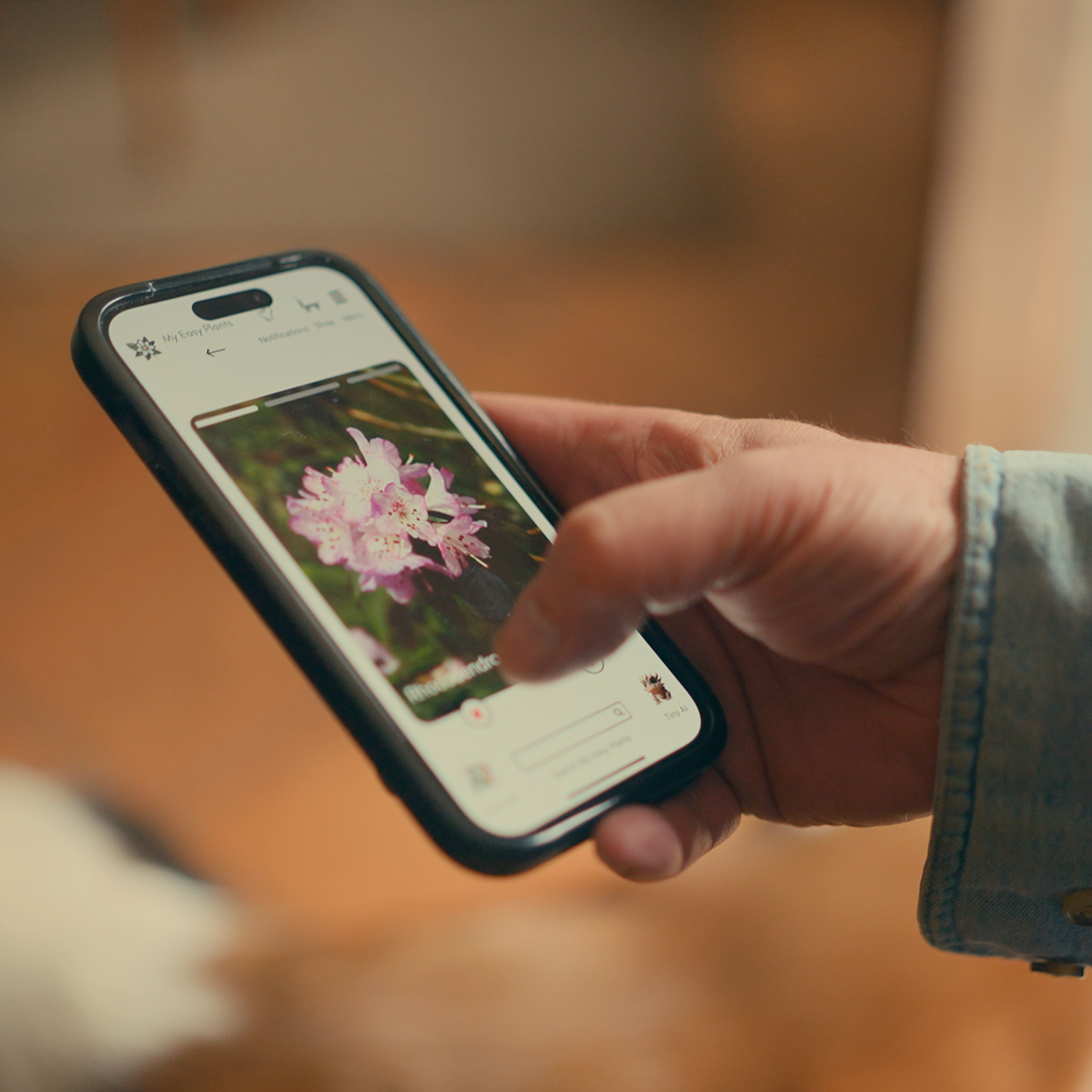 AI-Powered Plant Matching For Your Home