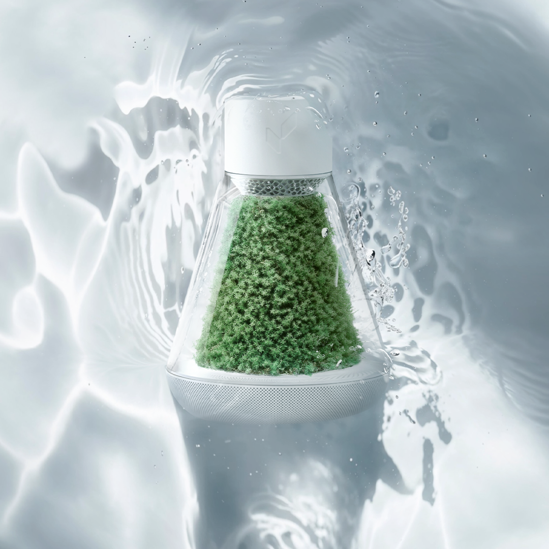 Natural Moss, Fresher Air