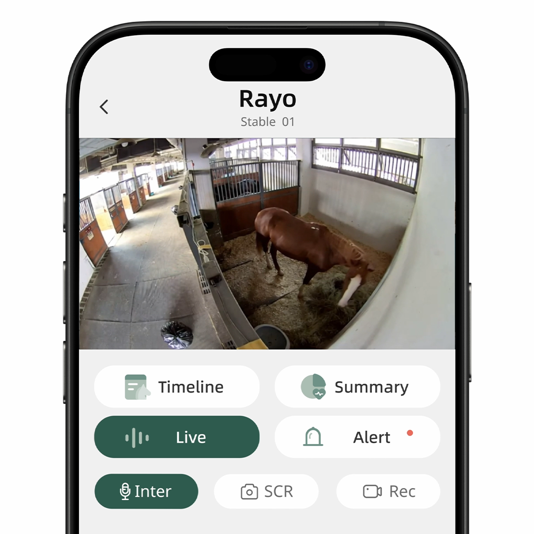 AI Horse Monitor With Smart Behavior Alerts
