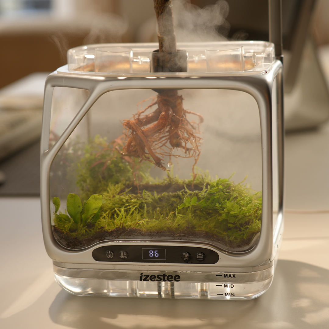 World's First Scenic Aeroponic Ecosystem