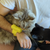 Turn Your Hand Into A Purring Machine. Your Cat Will Thank You