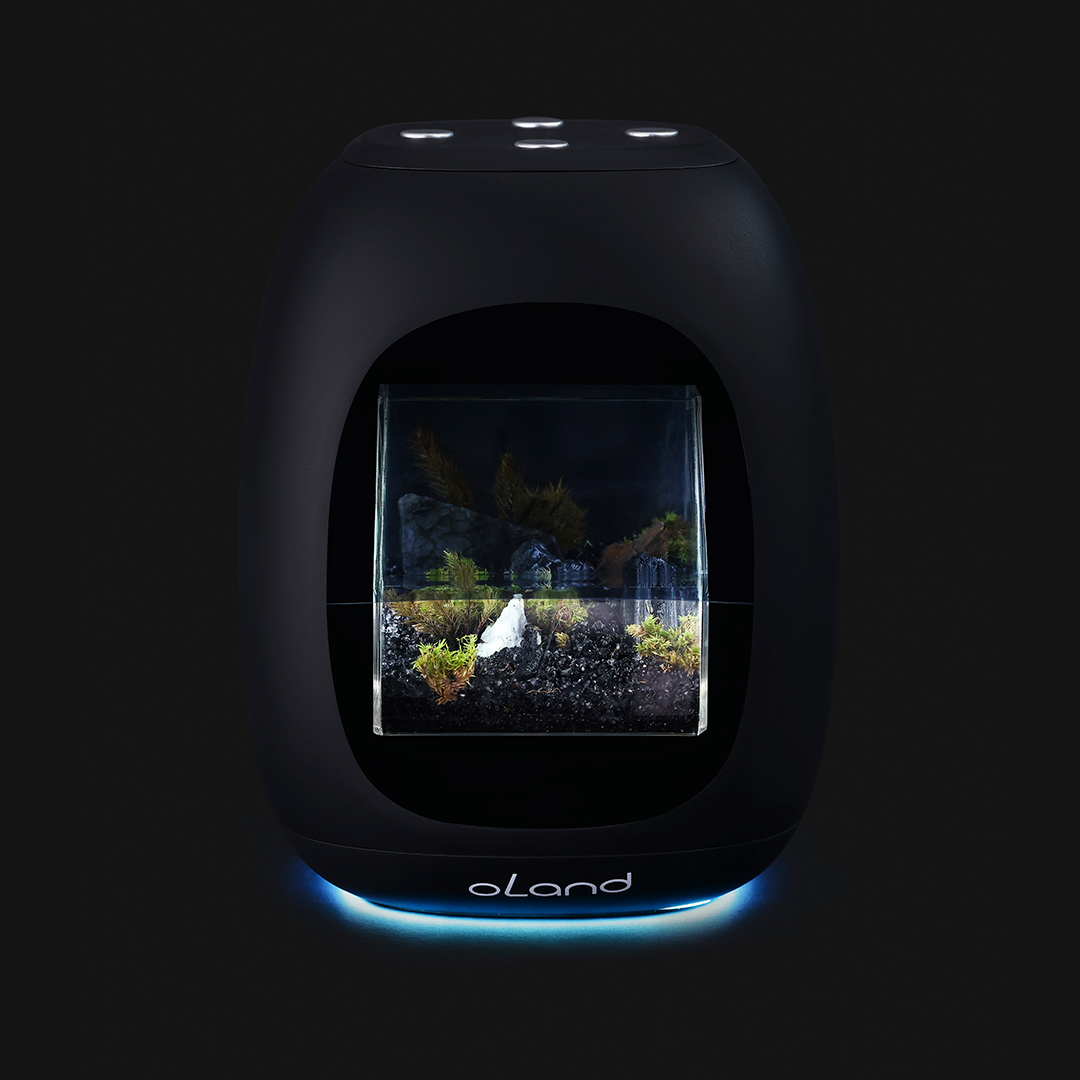 Meet The AI Pet That Lives On Your Desk