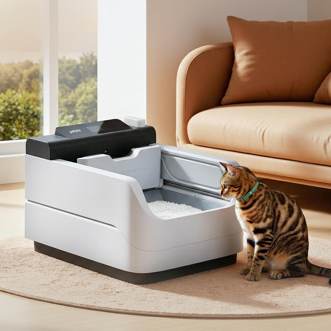 Self-Flushing Litter Box With AI Health Tracking