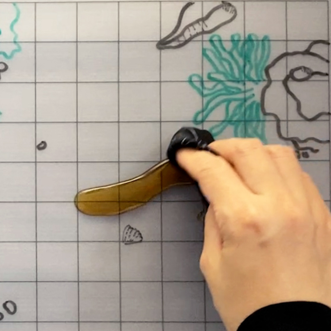 Trace Maps in Seconds.