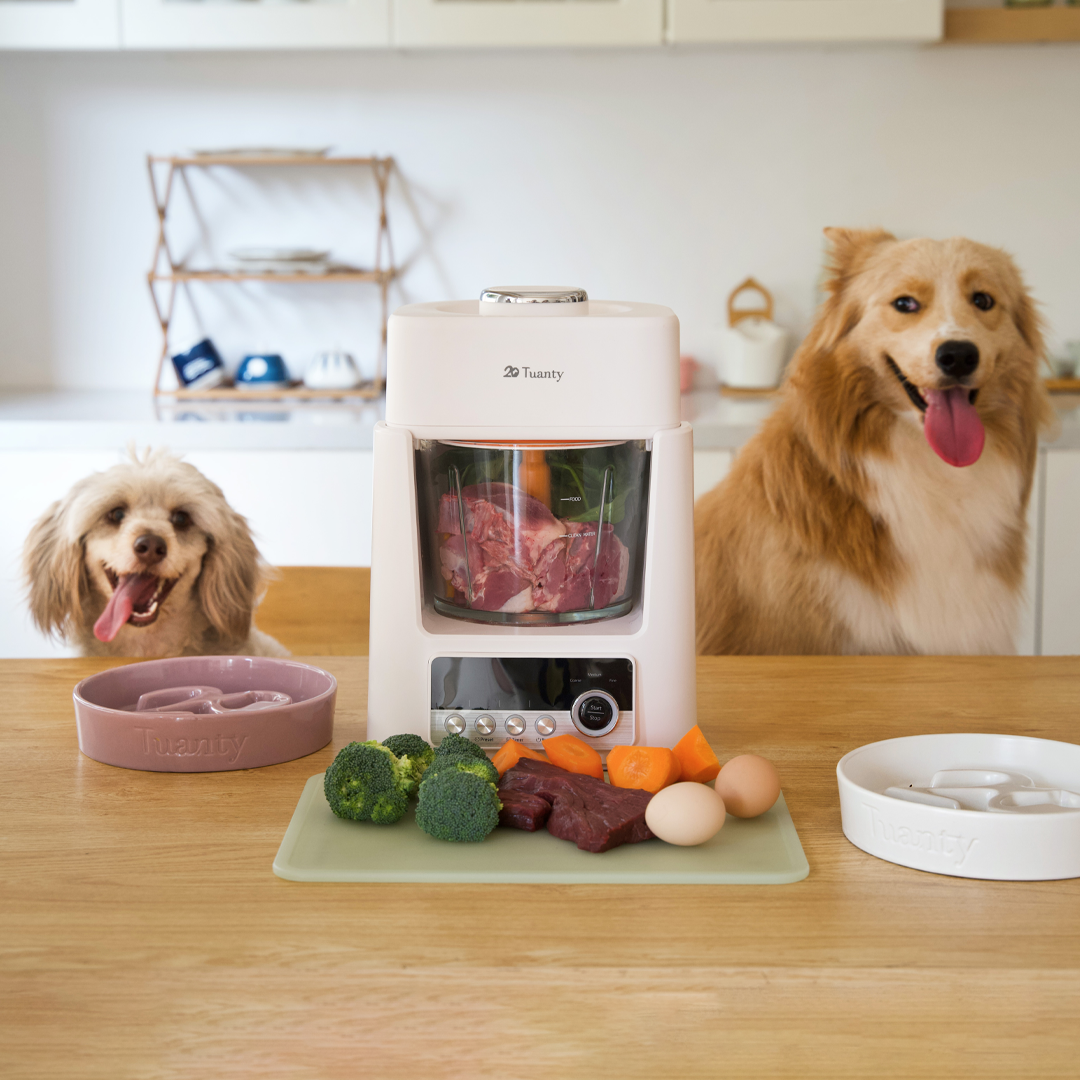 Healthy Feeding Without The Hassle