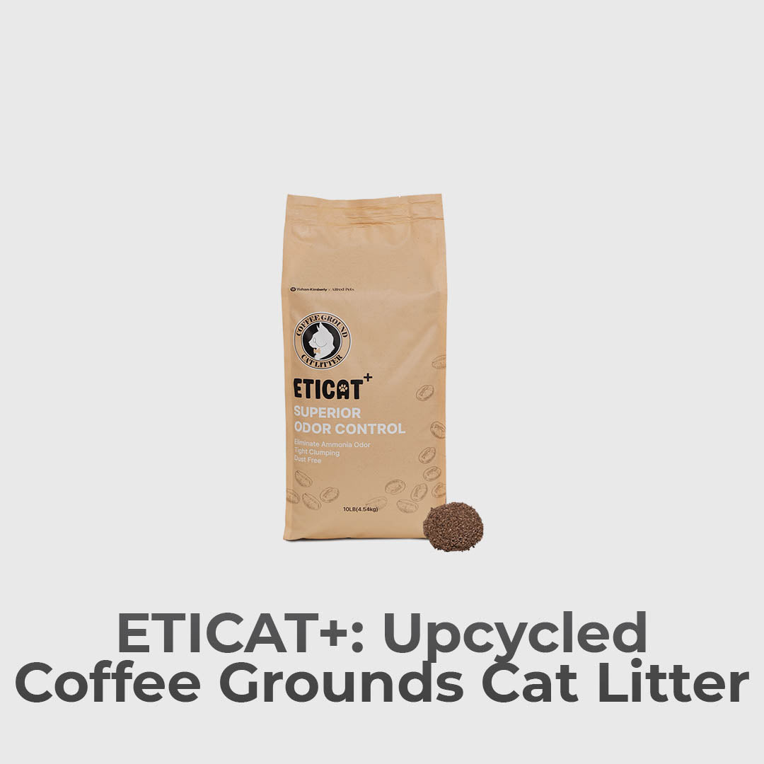 Innovative Cat Litter Crafted From Coffee Grounds