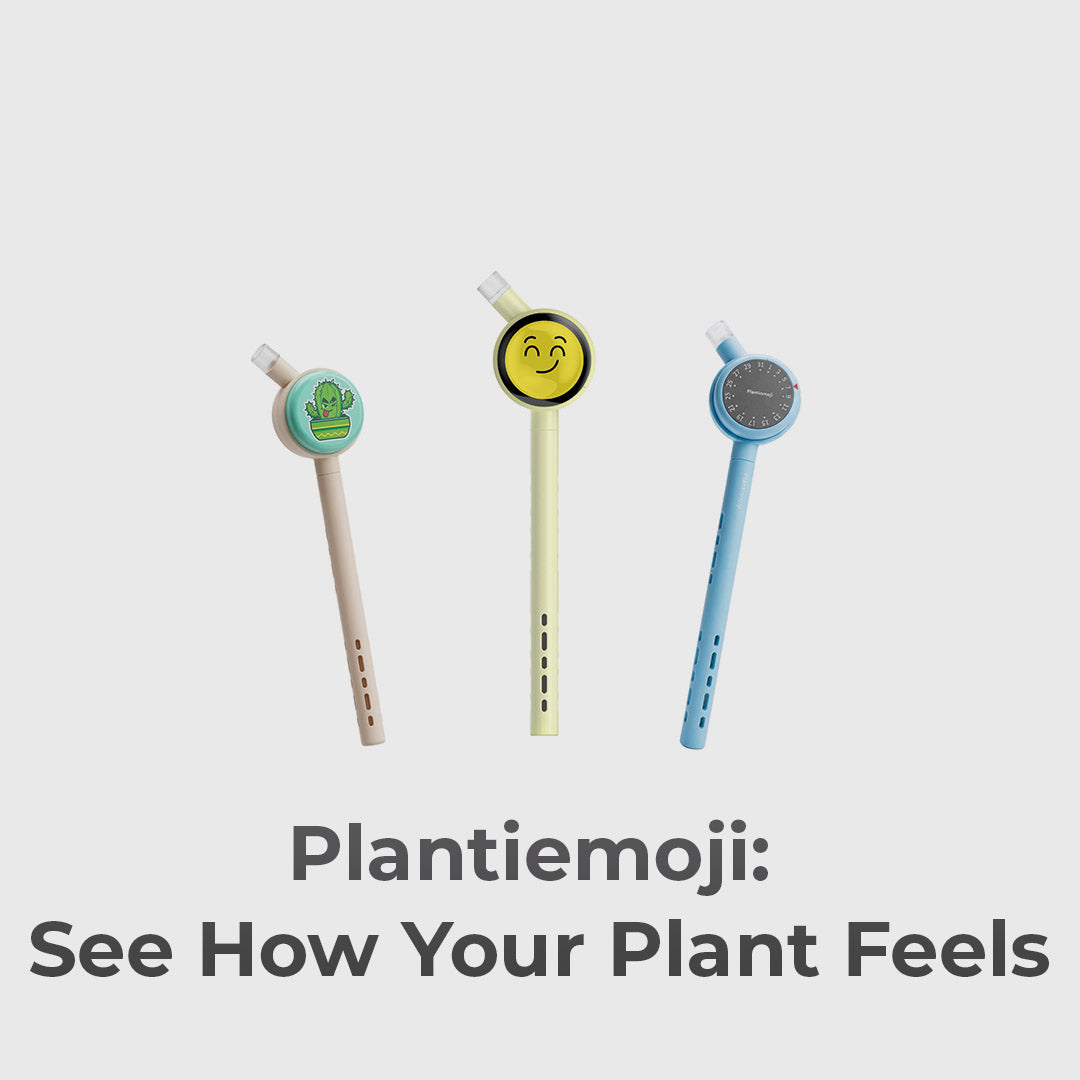 Know Exactly How Your Plant Feels