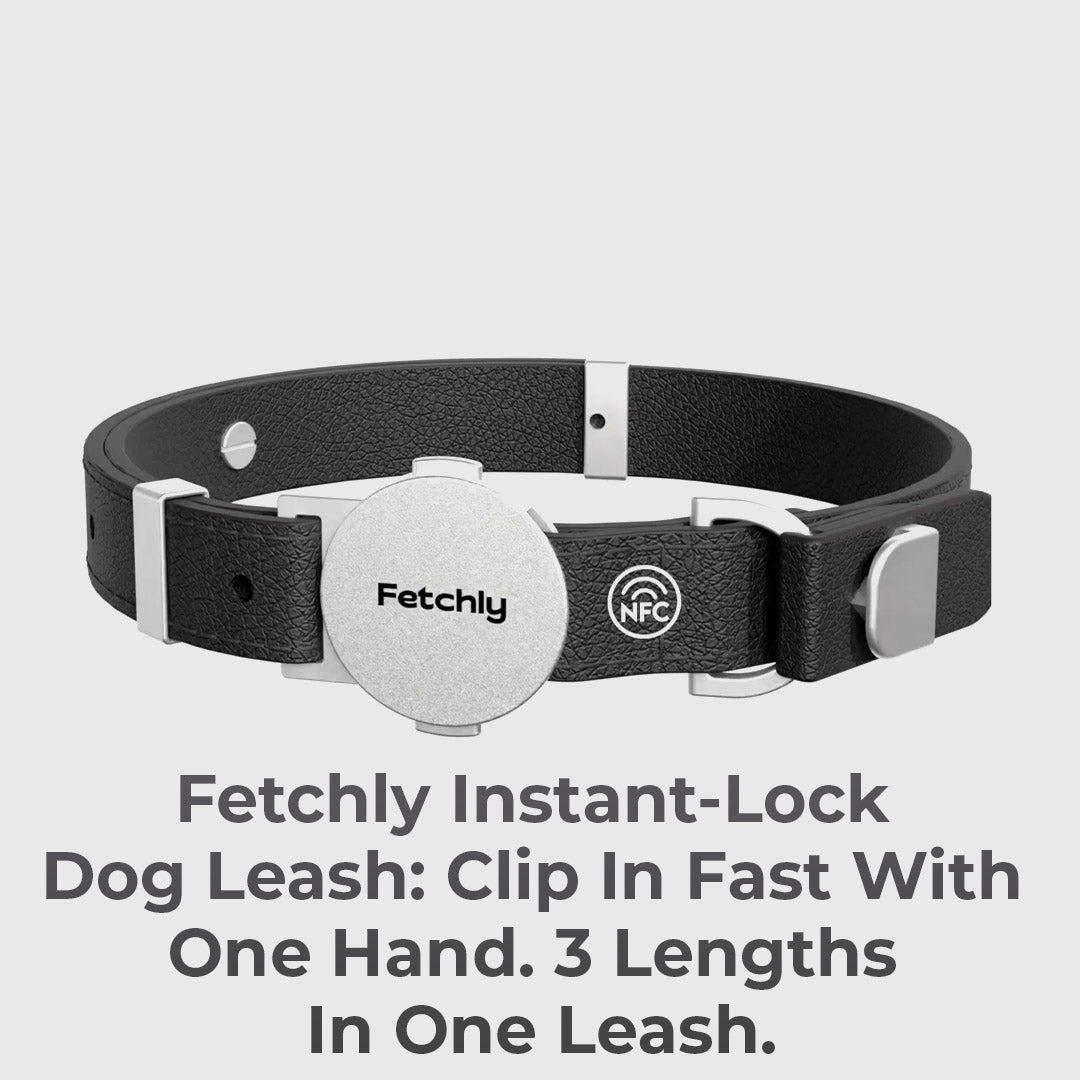 Engineered To Leash Up In One Click