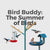Bird Buddy's New Smart Hummingbird Feeder & Bird Bath
