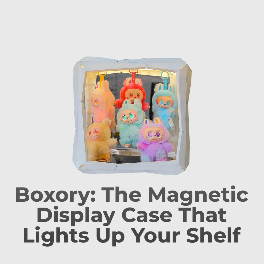 Magnetic Display Case with LED Lighting