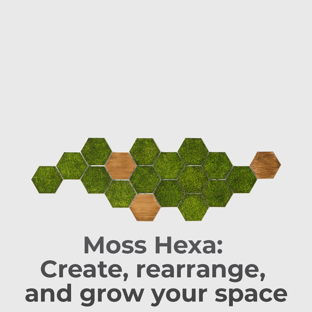 Modular Real Moss Wall Decor