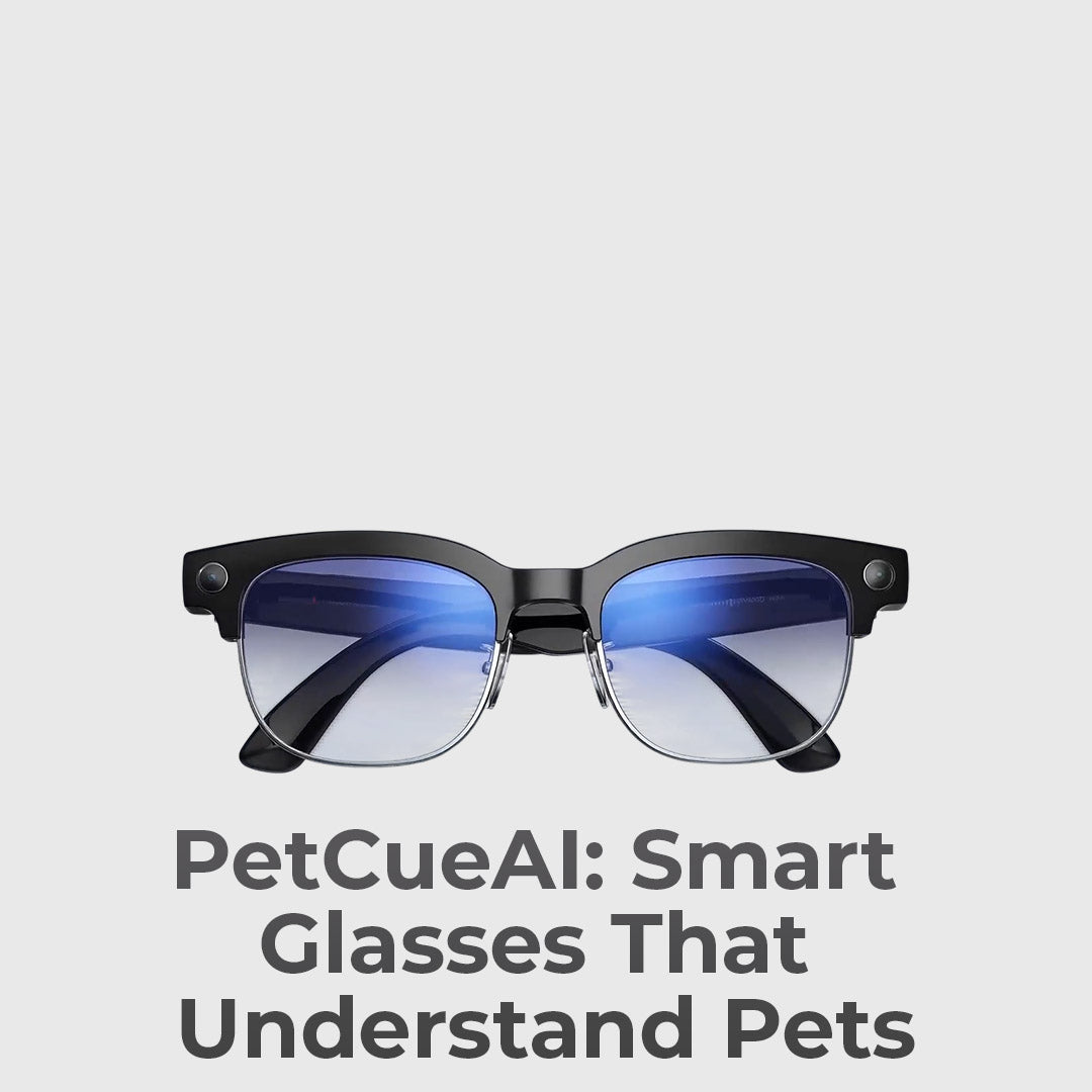Smart Glasses For Pet Parents