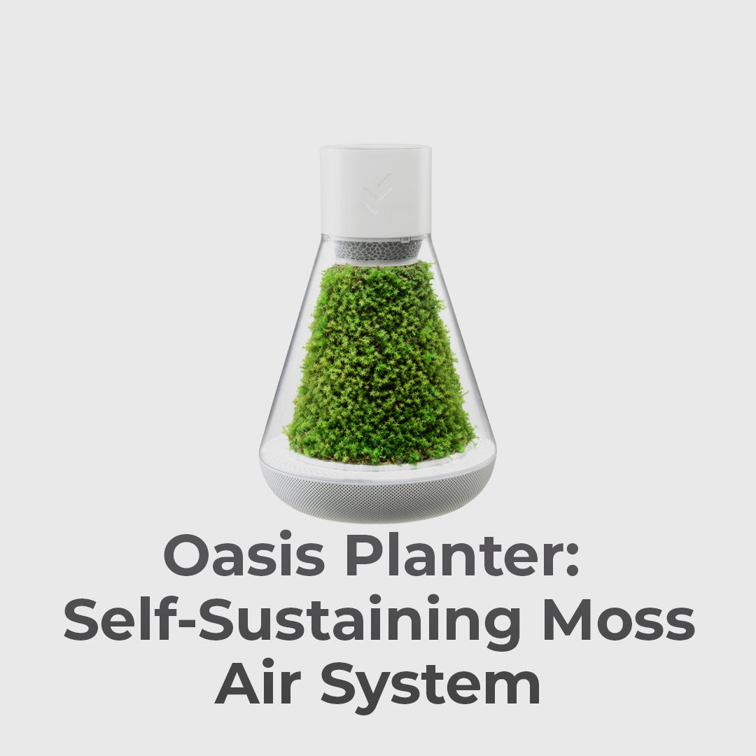Natural Moss, Fresher Air