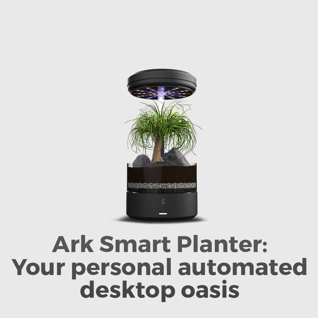 Bring Nature to Your Desk, Effortlessly