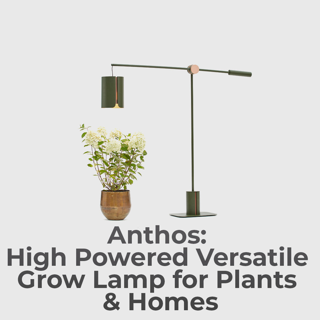 Sunlight, Without the Window