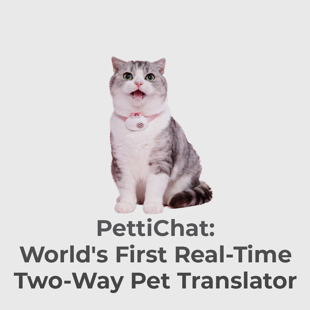 Real-Time Two-Way Pet Translator