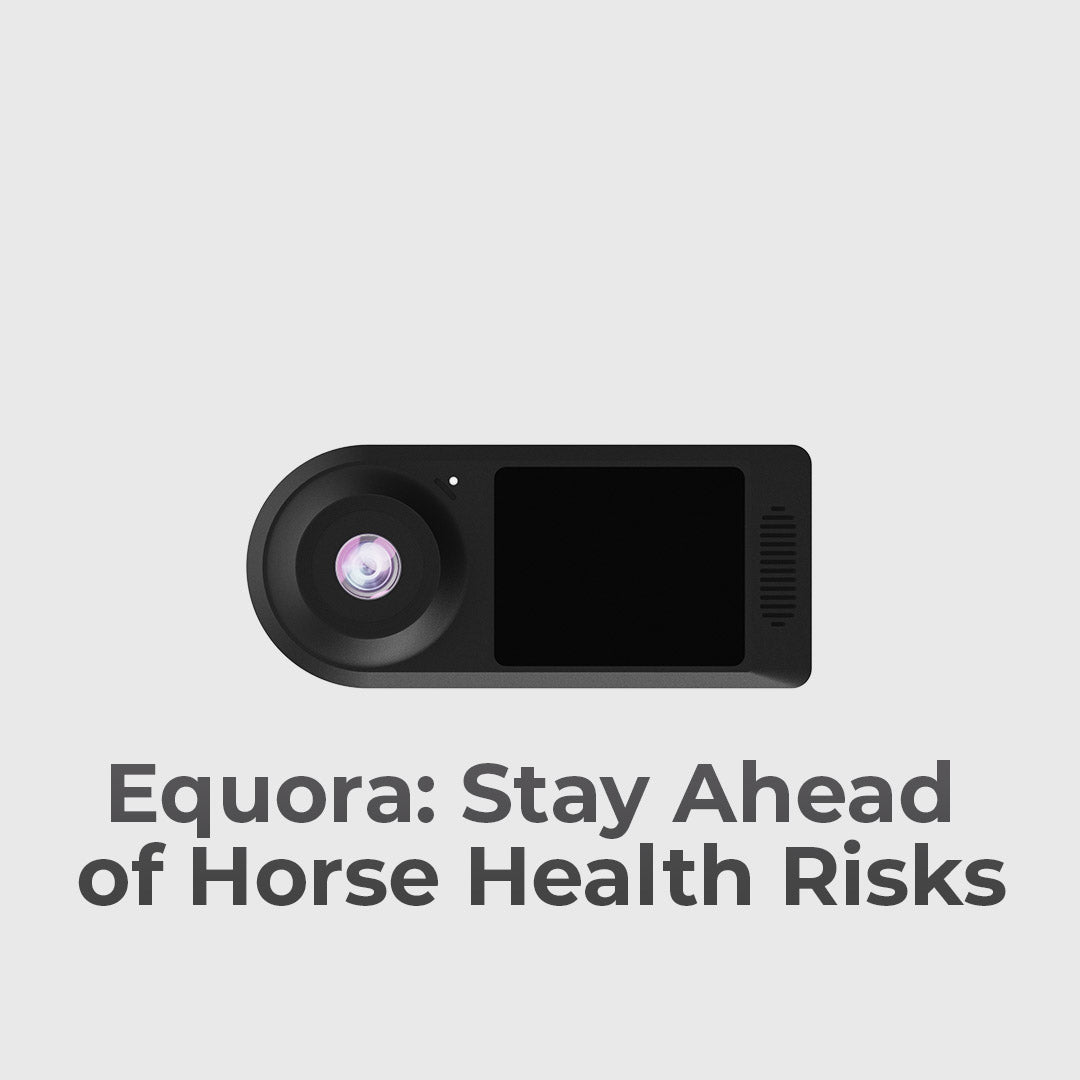 AI Horse Monitor With Smart Behavior Alerts