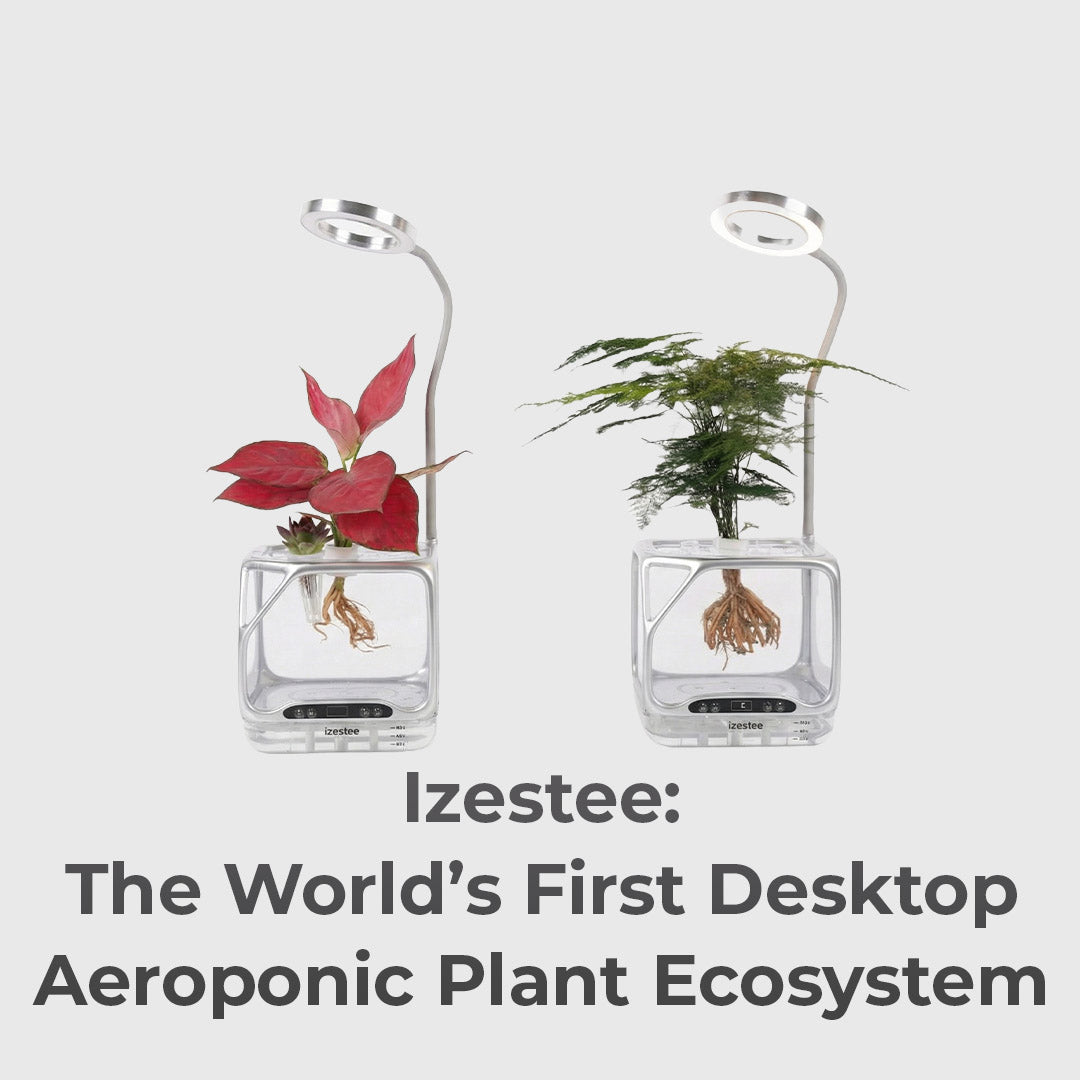 A Living Ecosystem On Your Desk