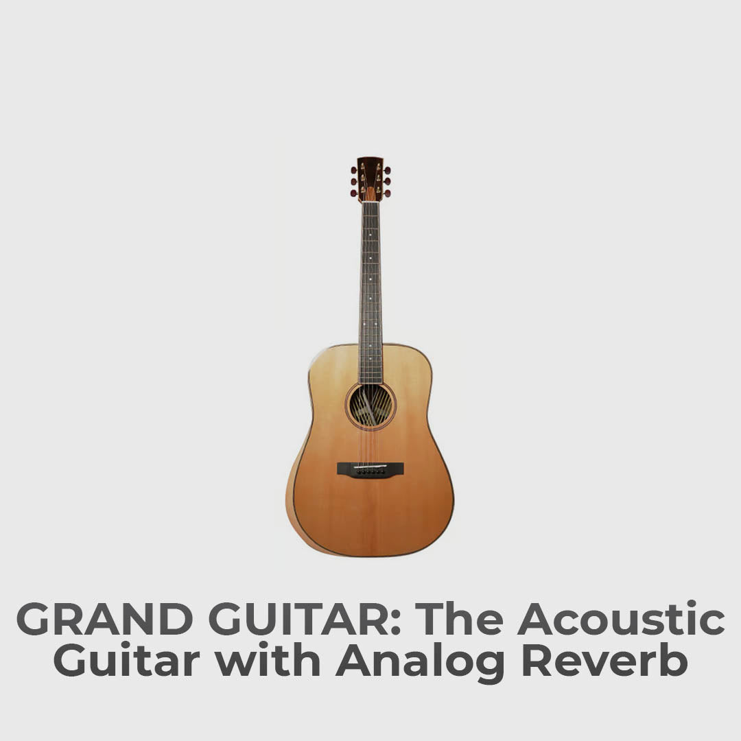 The Acoustic Guitar With Analog Reverb