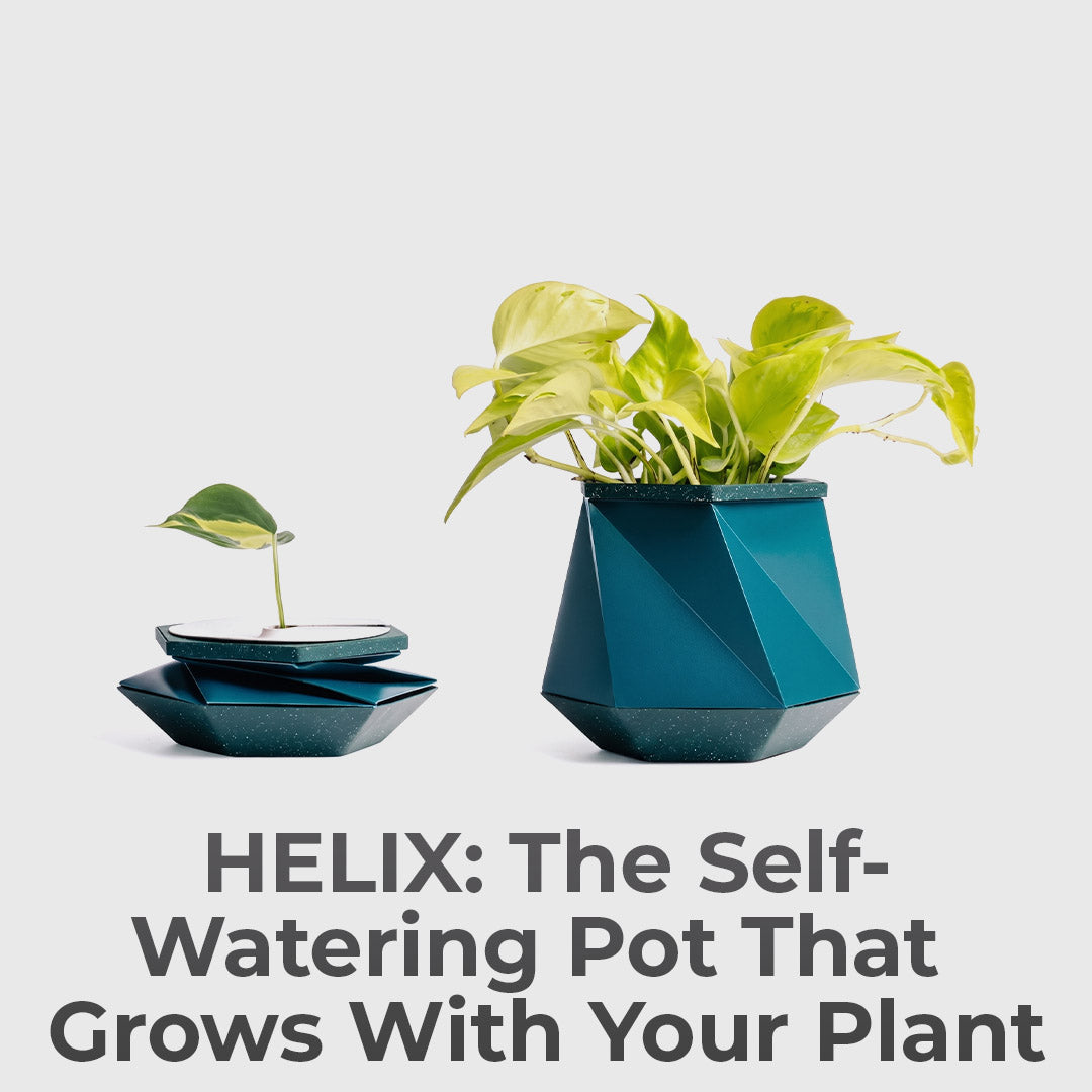 This Self-Watering Pot Grows With Your Plant