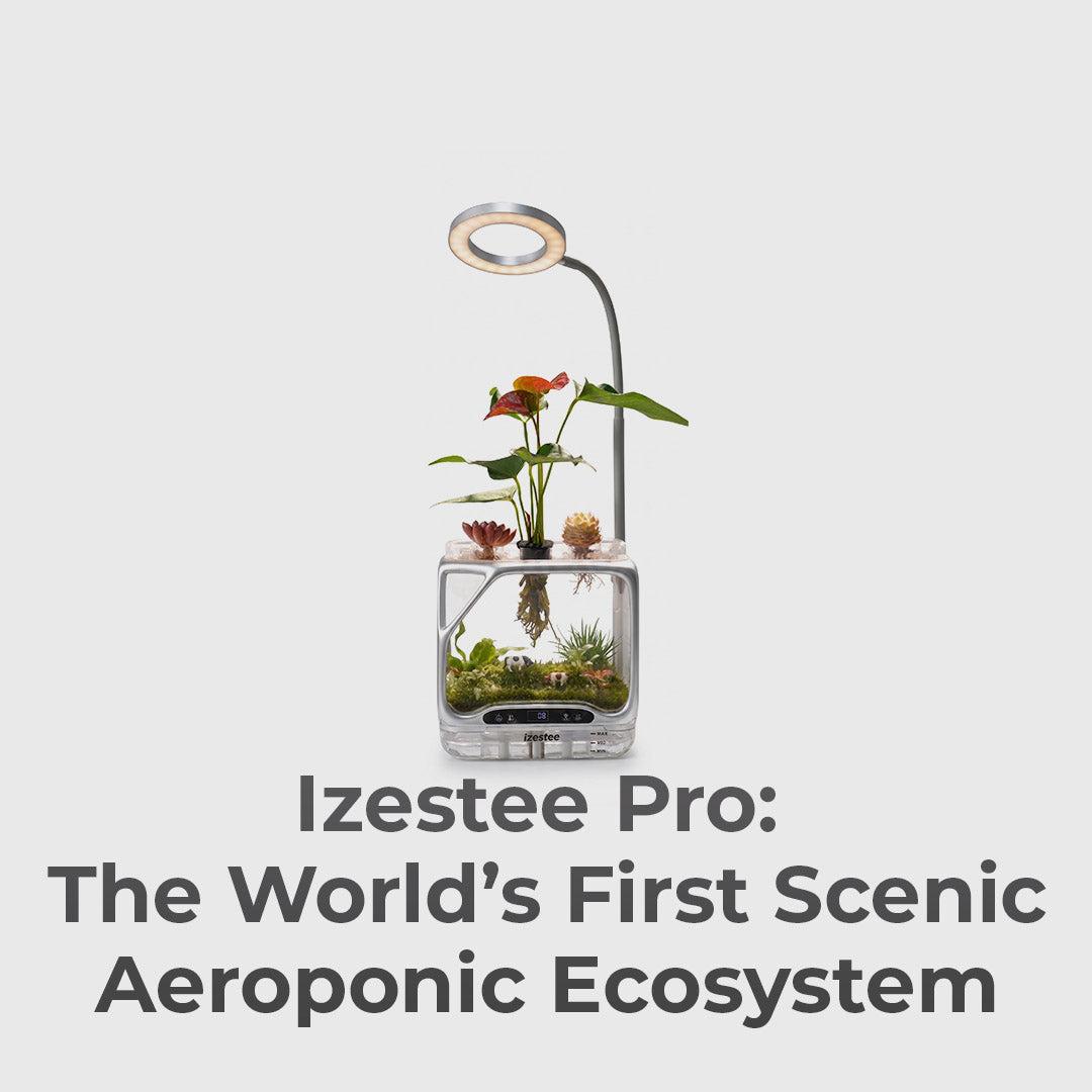 World's First Scenic Aeroponic Ecosystem