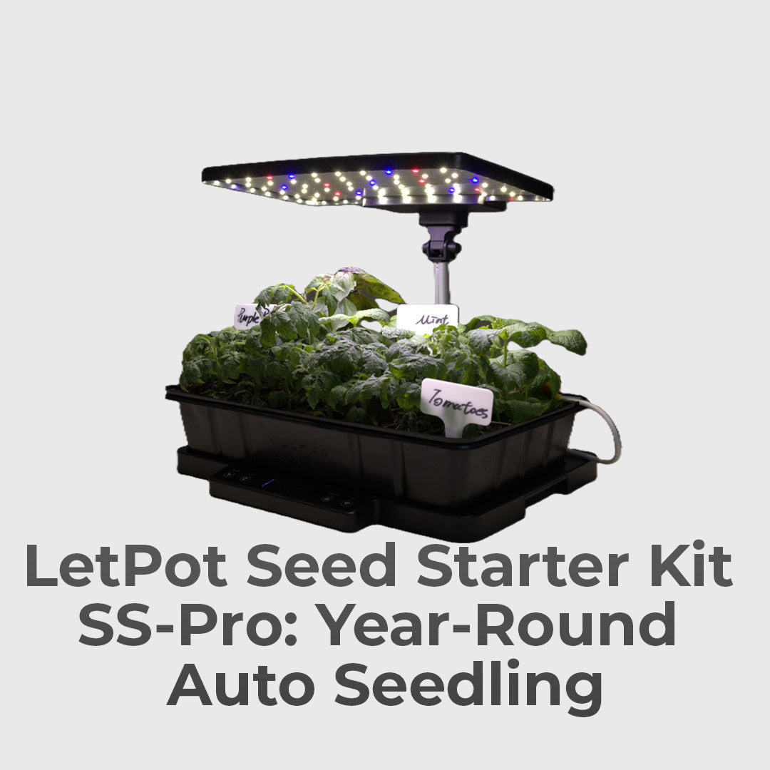 Start Strong, Grow Smarter