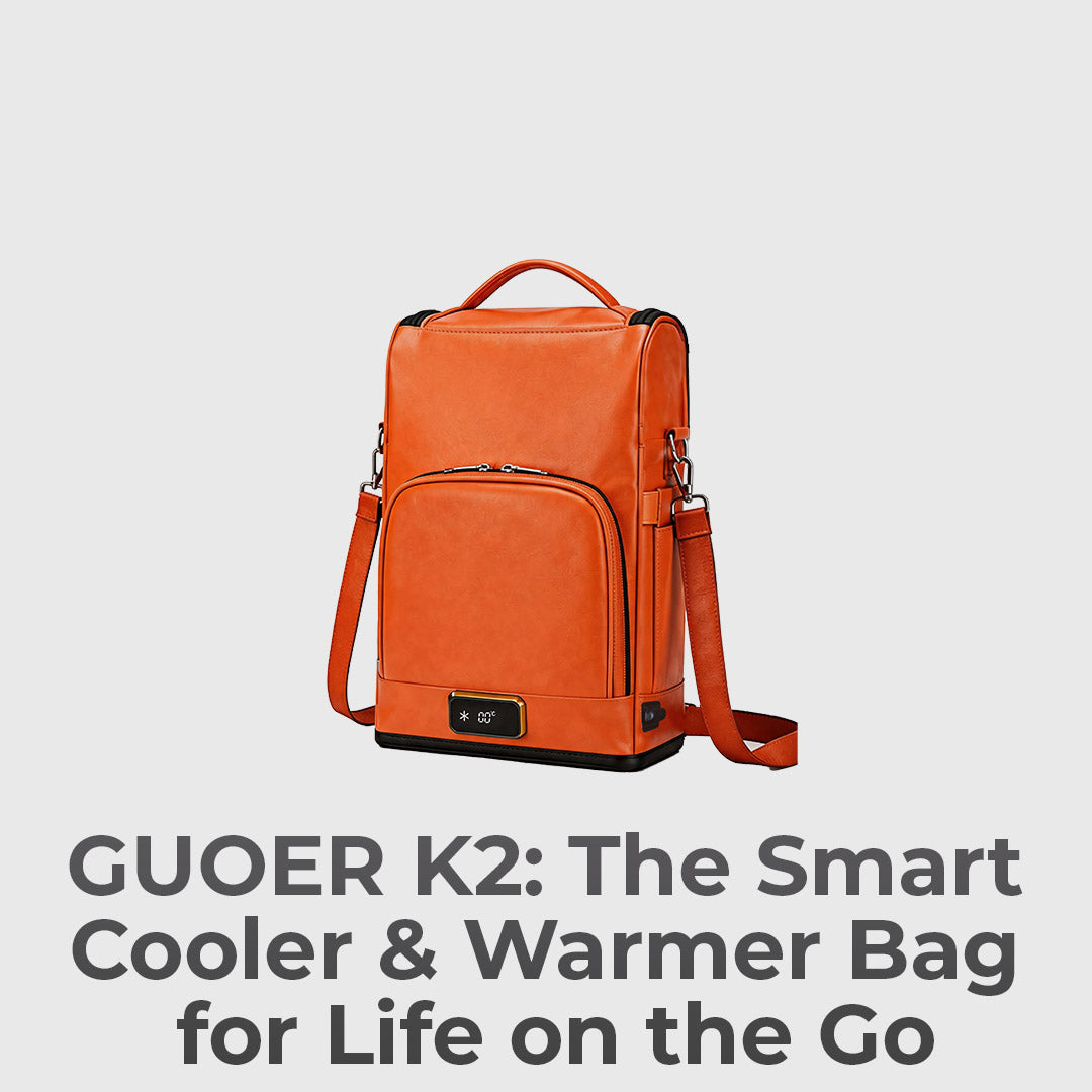 Smart Cooler And Warmer Carry Bag