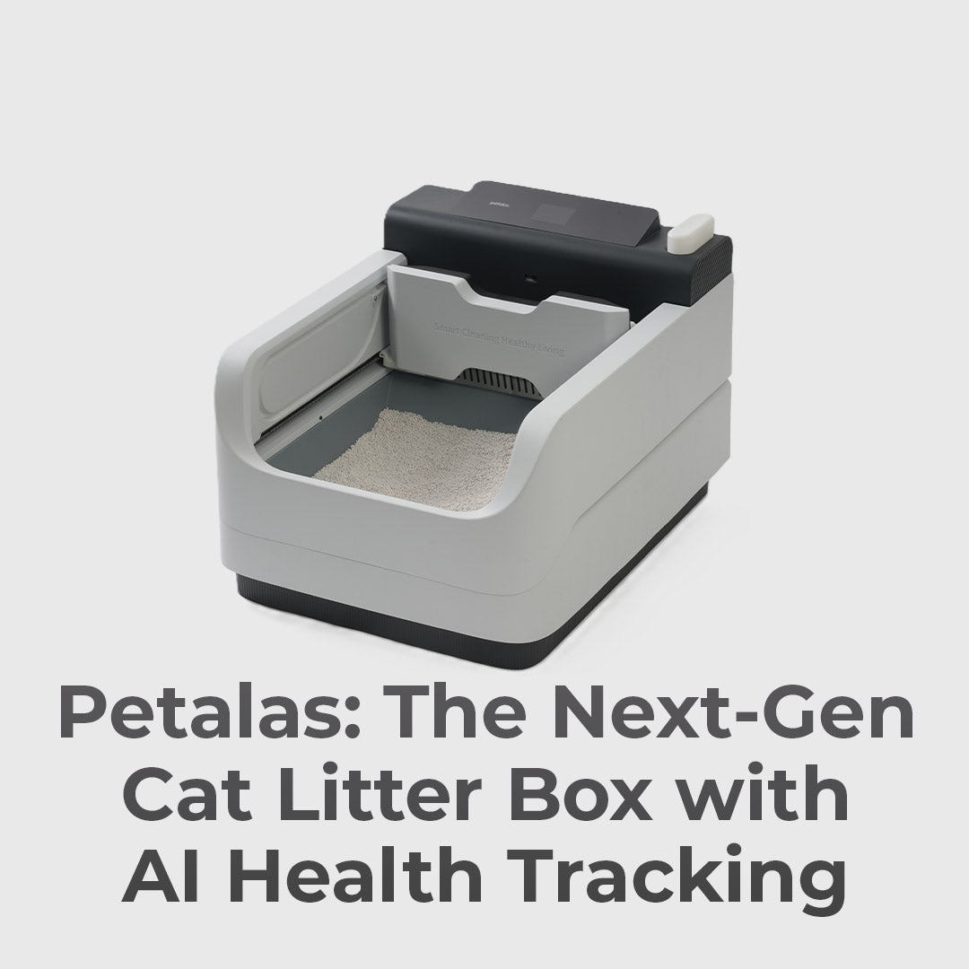 Self-Flushing Litter Box With AI Health Tracking