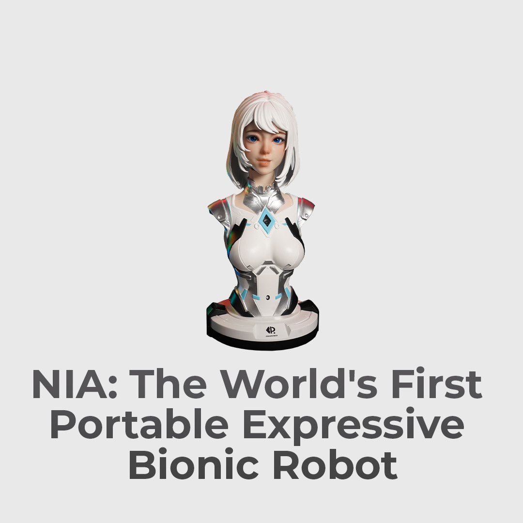 Make This Robot Truly Your Own