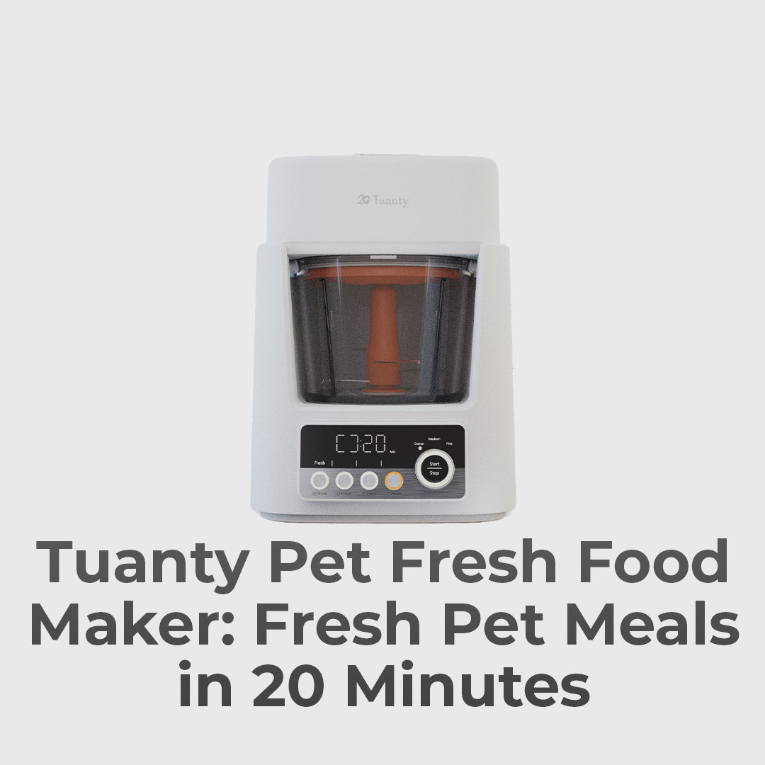 Healthy Feeding Without The Hassle