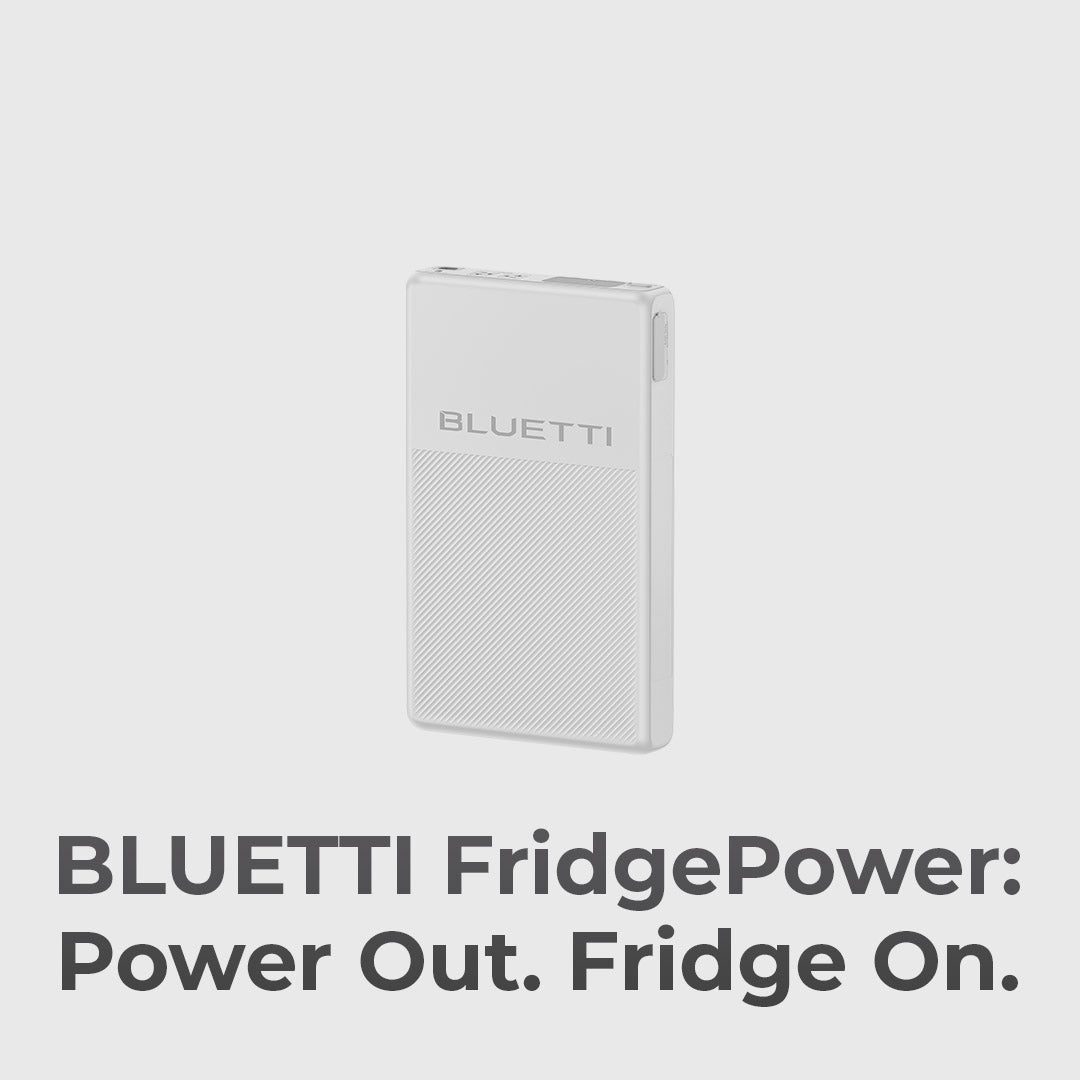 Automatic Refridgerator Backup ❄