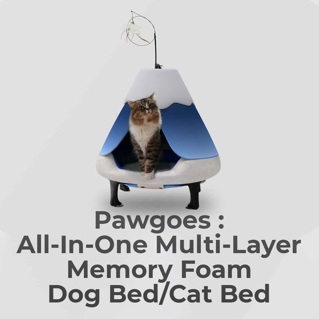 Multi-Layer Memory Foam Dog & Cat Bed
