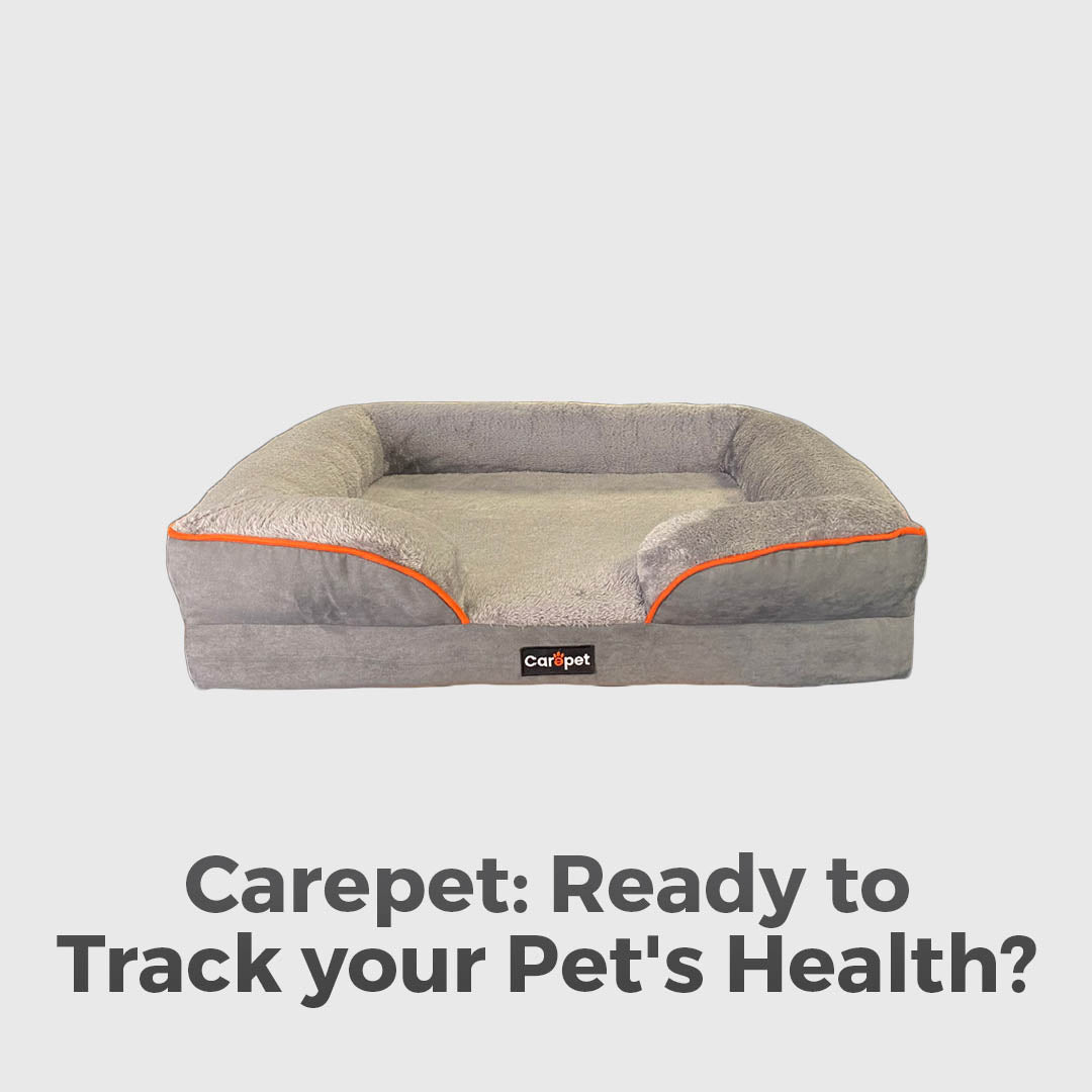 A Smart Carpet For Pet Health Tracking