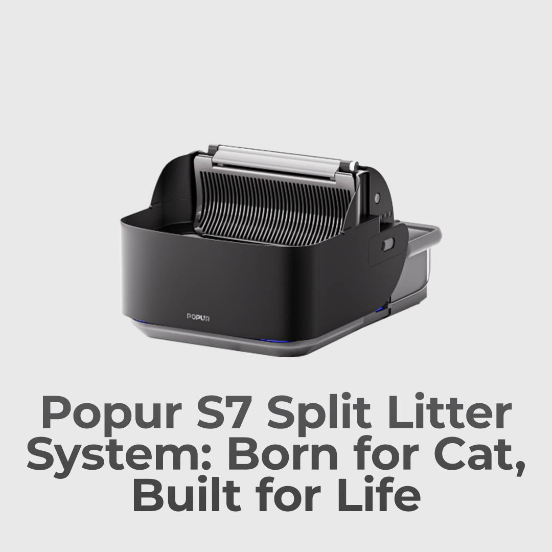 The Smartest Cat Litter Box Yet