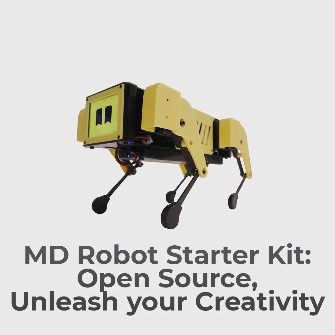 Learn Robotics With Beginner-Friendly Robots