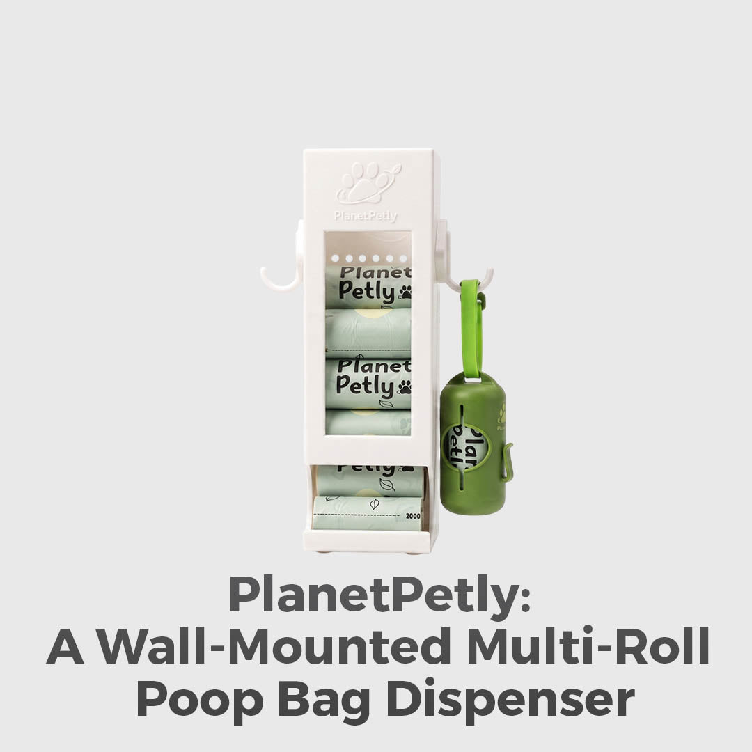 The Doorway Upgrade Dog Owners Need