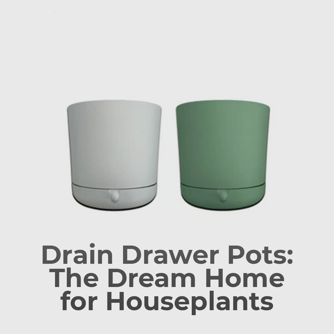 Innovative Plant Pot With Removable Drawer