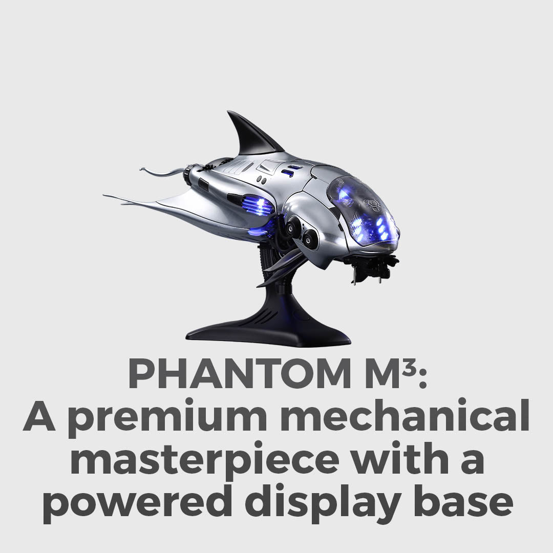 Magnetic Mechanical Sculpture With Motion