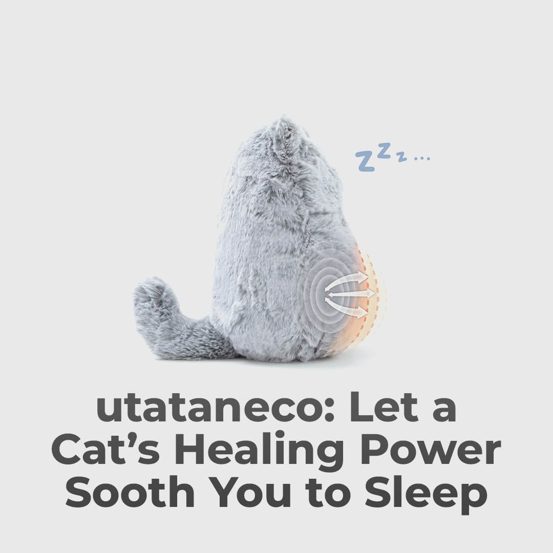 The Pillow Cat That Breathes With You